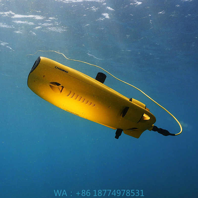アルヴァージュ 救助装備 水泳可能 ダイビングギア アクセサ - Fish Finder のレビューと価格