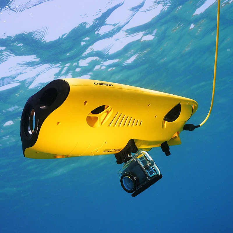 アルヴァージュ 救助装備 水泳可能 ダイビングギア アクセサ - Fish Finder のレビューと価格